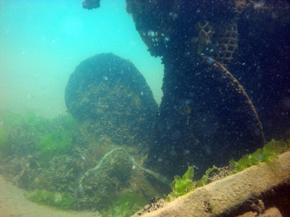 Foto subacquea del Diana Madre: particolare dell'elica (C.R.I. Giulianova)