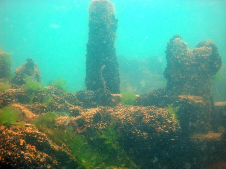 Foto subacquea del Diana Madre: particolare (C.R.I. Giulianova)