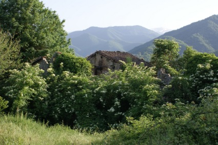 Valloni: la vegetazione divora le vecchie costruzioni